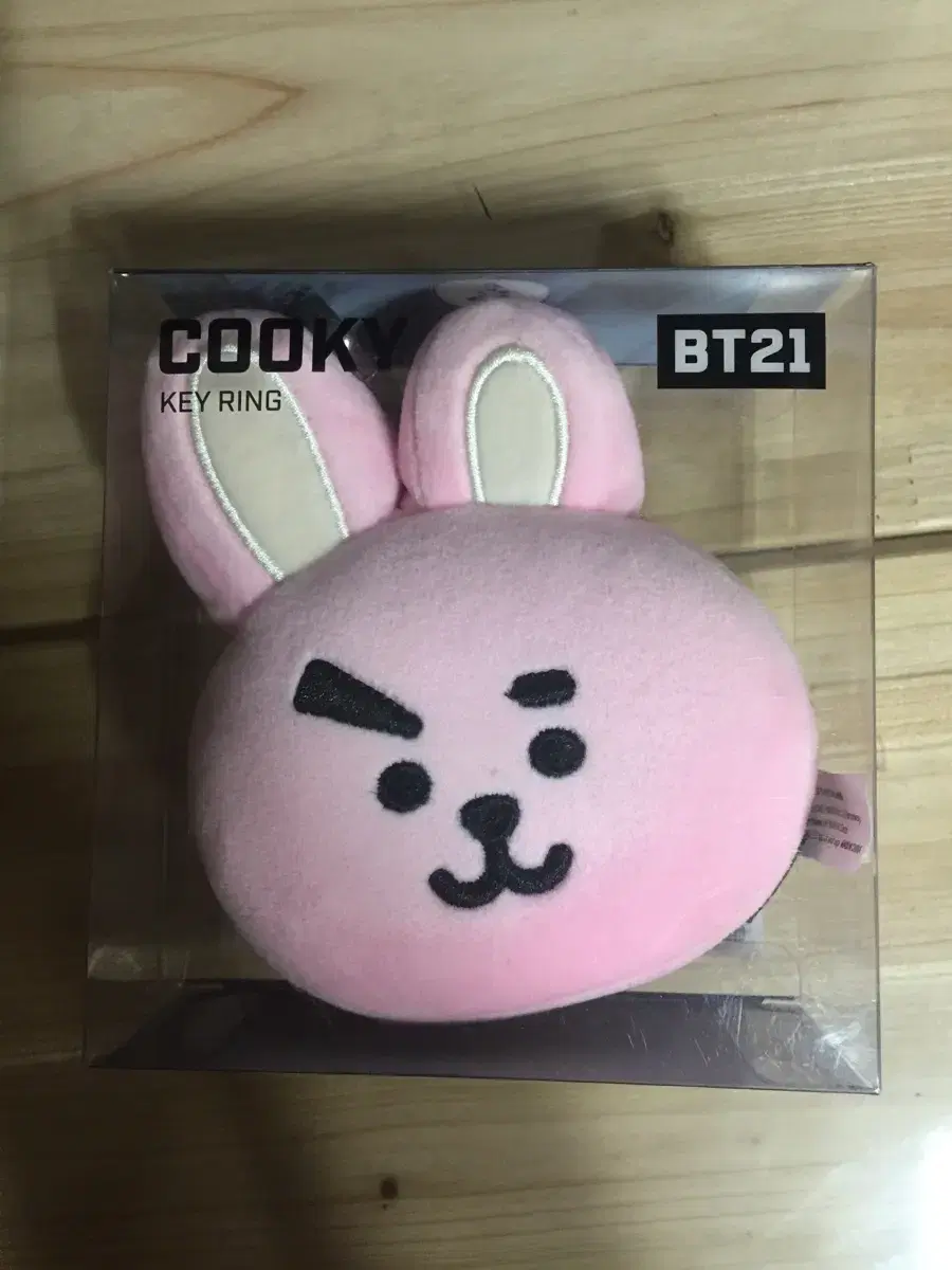 bt21 백참